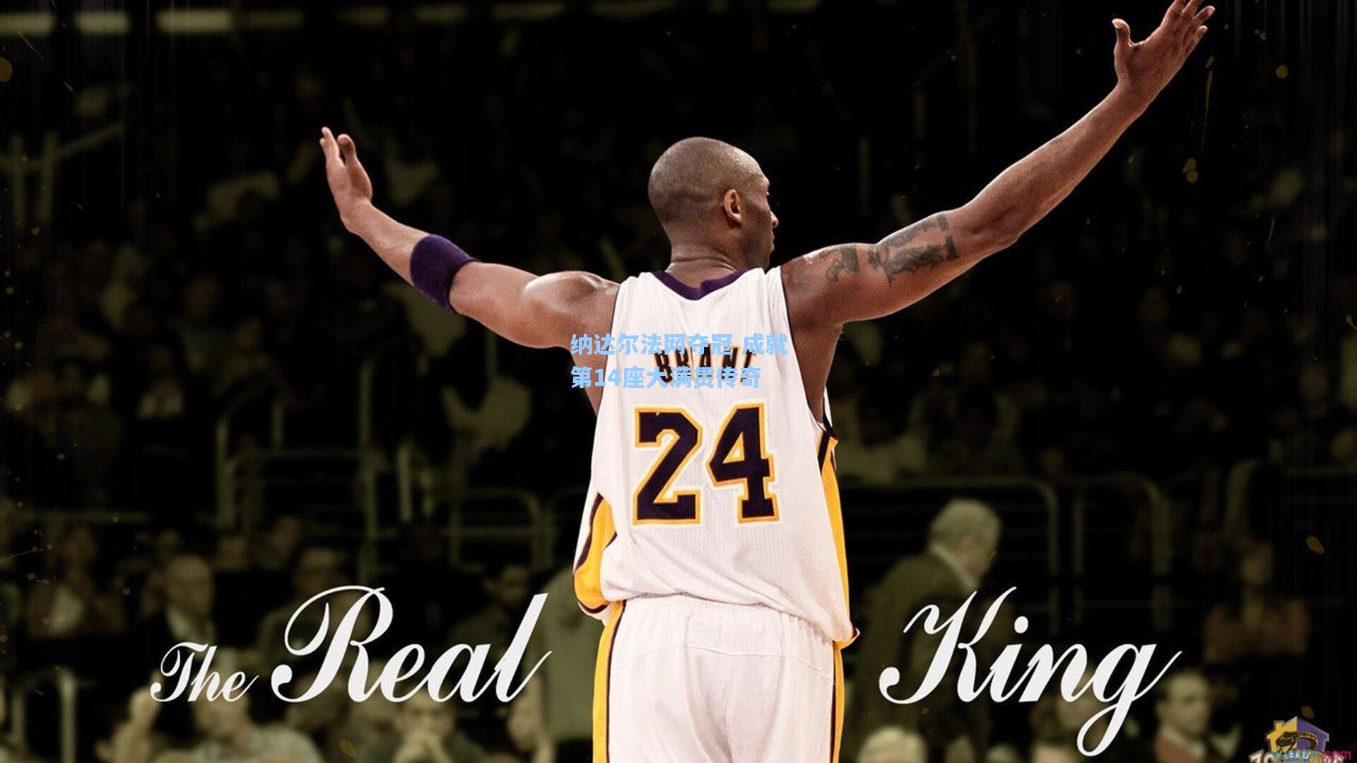 纳达尔法网夺冠 成就第14座大满贯传奇